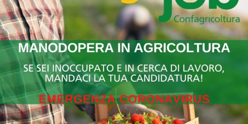 Agricoltura: ecco i siti dove è possibile trovare lavoro