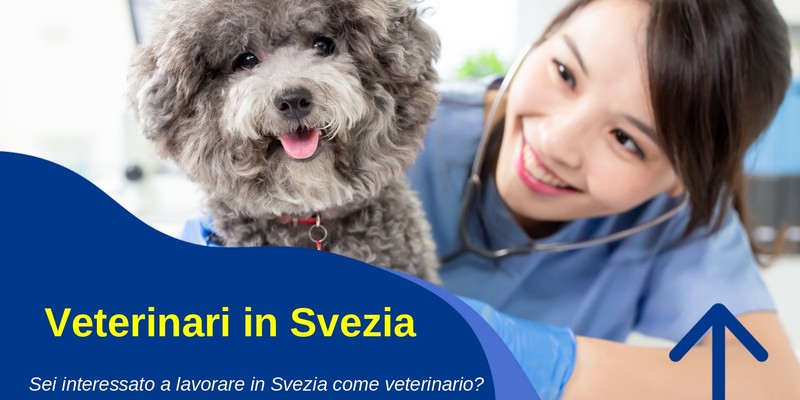 Lavoro: Eures Abruzzo, incontri per reclutamento veterinari in Svezia